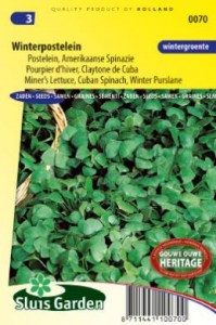 portulak, portulaka, purslane, šrucha, semená portulaky, semená portulaka, zimná portulaka, zimný portulak,